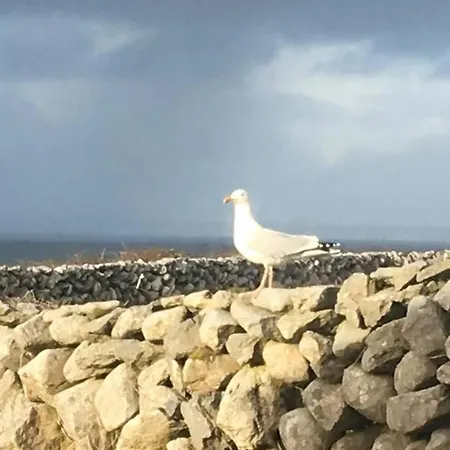 Wild Atlantic Way Apartament *