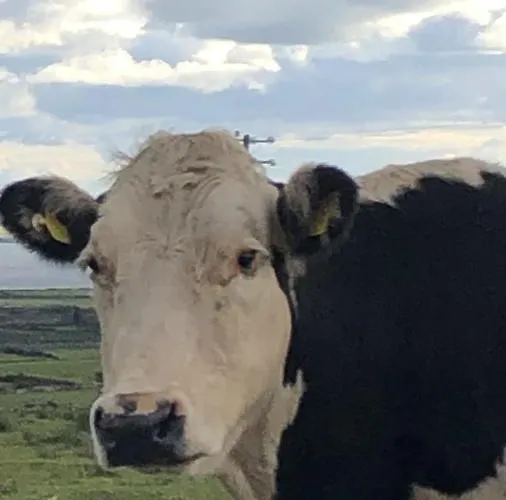 Appartement Wild Atlantic Way