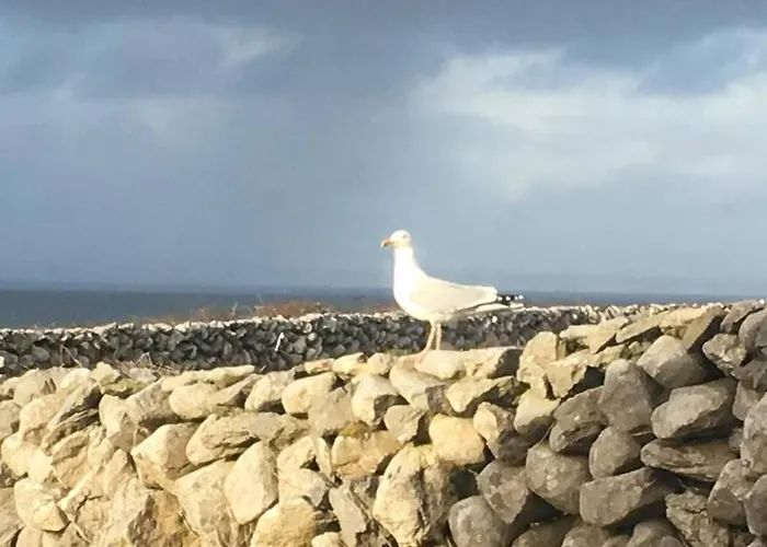 Wild Atlantic Way 아파트 *