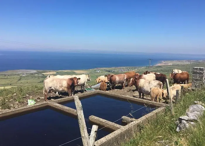 Appartement Wild Atlantic Way *